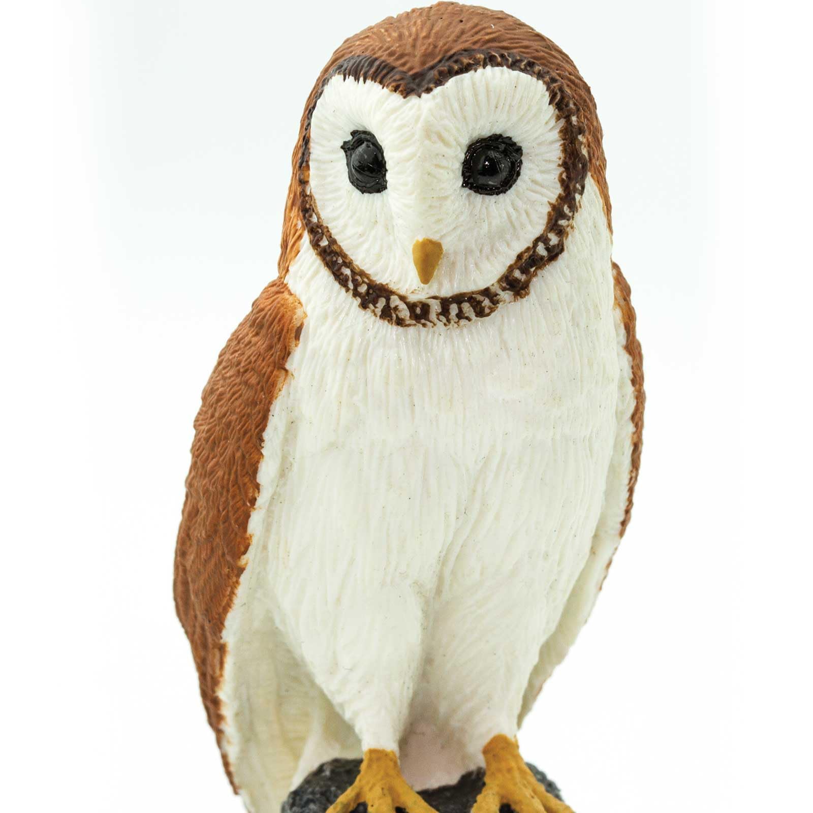 Safari Ltd Wings of the World Barn Owl : Amazon.sg: Toys